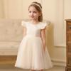 Little Girls Puffy Princess Dress Kids Party Wedding Flower Girl Tutu Dress