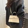 Textured women's bag new winter fashion leopard print simple commuter bag trendy simple oblique span bag