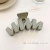 Korean Frosted Large Claw Clip - Elegant Shark Hair Accessory for Women's Updos