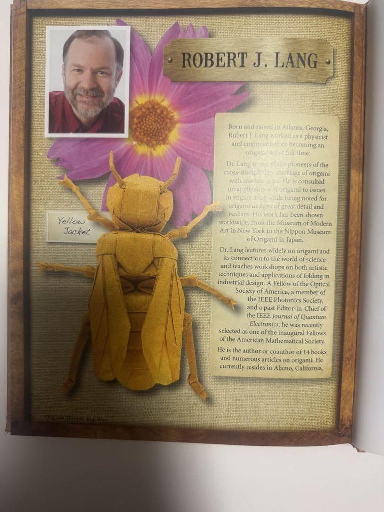 [USED] Origami Masters Bugs