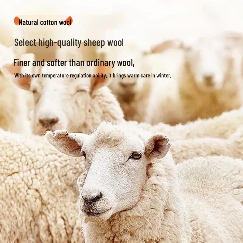 Cosmo Lady Women's Wool Silk Thermal Vest with Built-in Bra