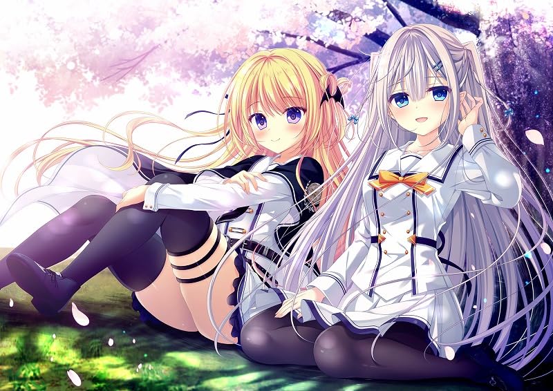 

Plus Happiness Capo Plus Happiness Роскошный ограниченный тираж DC5 ~Da 5~