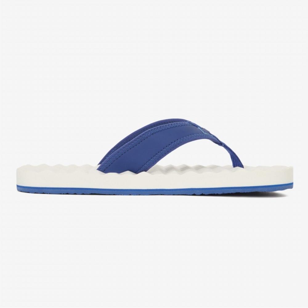 [north Face Official] Ns83r16c Basecamp Flip Ex Cobalt Blue