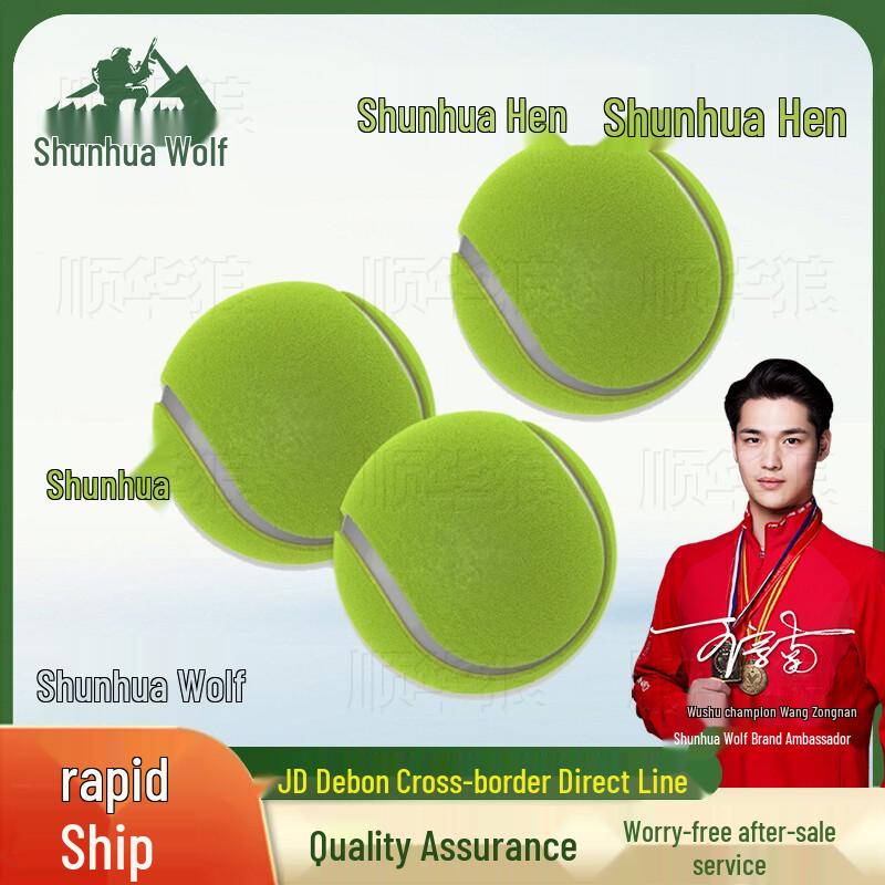 Shunhualang Physical Test Throwing Tennis Ball