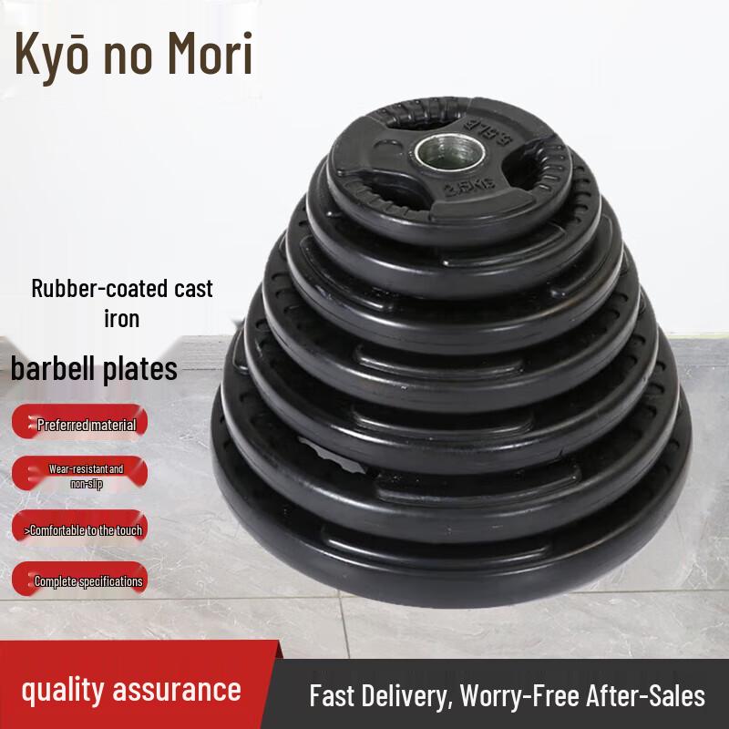 JingZhiSheng Coated Cast Iron Barbell Plate