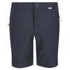 Regatta Mens Highton Mid Shorts