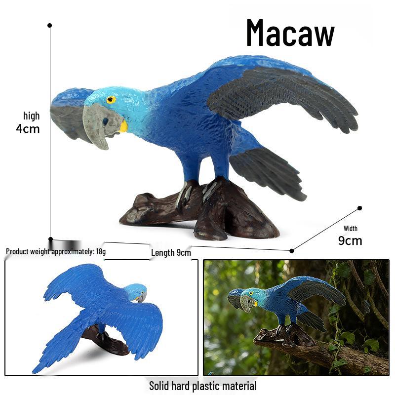 Kids' Bird Model Set: Toucan, Parrot, Ostrich, Peacock, Eagle, Pigeon, Owl.