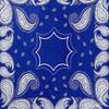 Retro Paisley Pattern Blanket Bohemian Soft Flannel Throw Blanket Decorative Washable Cozy Blanket for Couch Bed Sofa