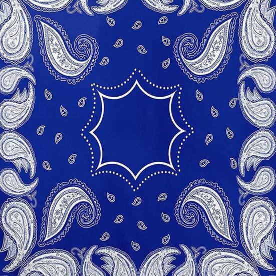 Retro Paisley Pattern Blanket Bohemian Soft Flannel Throw Blanket Decorative Washable Cozy Blanket for Couch Bed Sofa