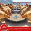 Farm Multi-Hole Feeding Trough for Chickens, Ducks, and Geese - 50cm/60cm Durable Food Basin