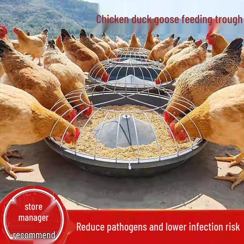 Farm Multi-Hole Feeding Trough for Chickens, Ducks, and Geese - 50cm/60cm Durable Food Basin