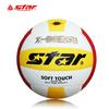 Star Size 5 Training Volleyball