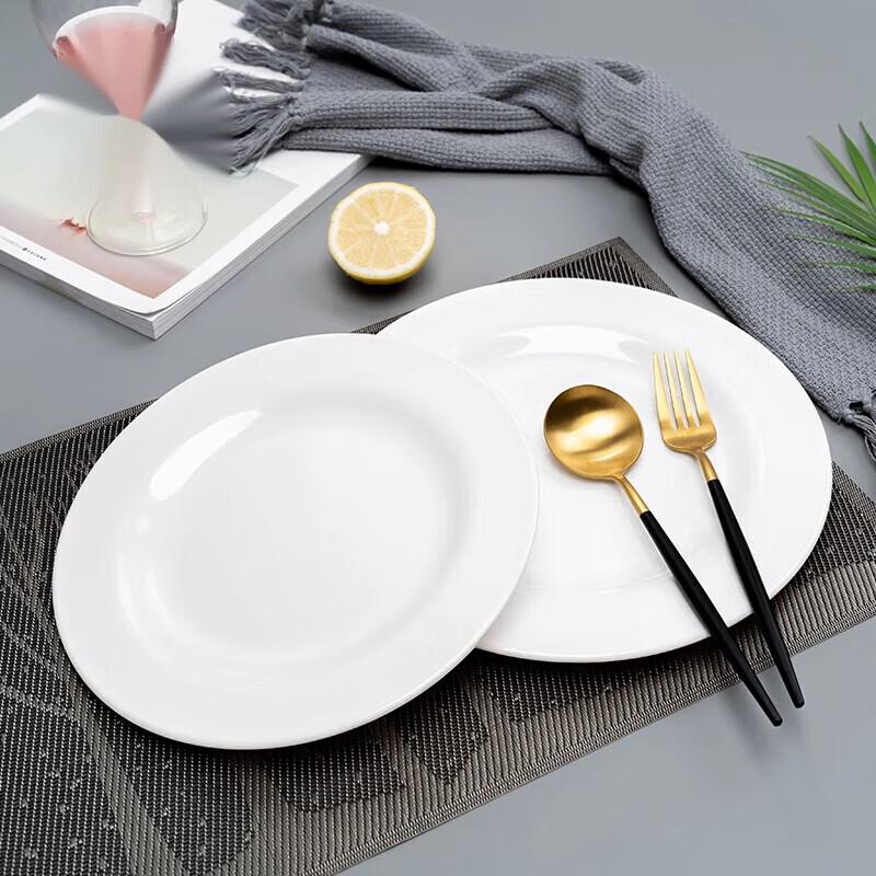 NHZHIW 11-inch Melamine Canteen Plate