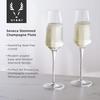 Seneca Champagne Flutes - Crystal Stemware for Wine & Cocktails, 9oz Set of 2, Clear, Dishwasher Safe
