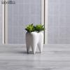 1pc Tooth Shape White Ceramic Flower Pot Planter Teeth Model Mini Desktop Pot Gift Home Decor