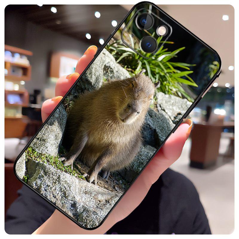 Animal Funny Capybara Case For iPhone 16 Pro Max 14 13 12 11 15 17 Pro Max mini 15 16 Plus 16e 17 Air Phone Cover