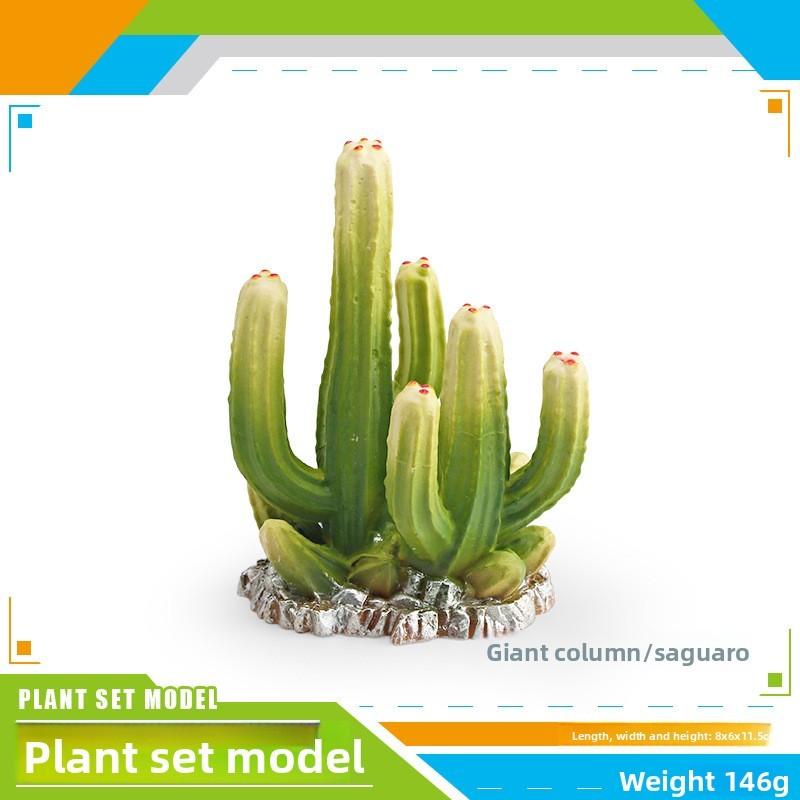 Coleção de Modelos de Plantas Realistas Com Material de PVC Para Decoração de Casa e Design de Terrário