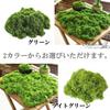 Artificial Moss 100g Bonsai Fake Moss Green Potted Garden Artificial Flowers Houseplants Model Diorama S.fields.inc (Green)