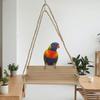 Com Corrente Baloiço para Pássaros Estilo Banco Cama Suspensa Criativa para Papagaio Acessórios para Gaiola de Pássaros