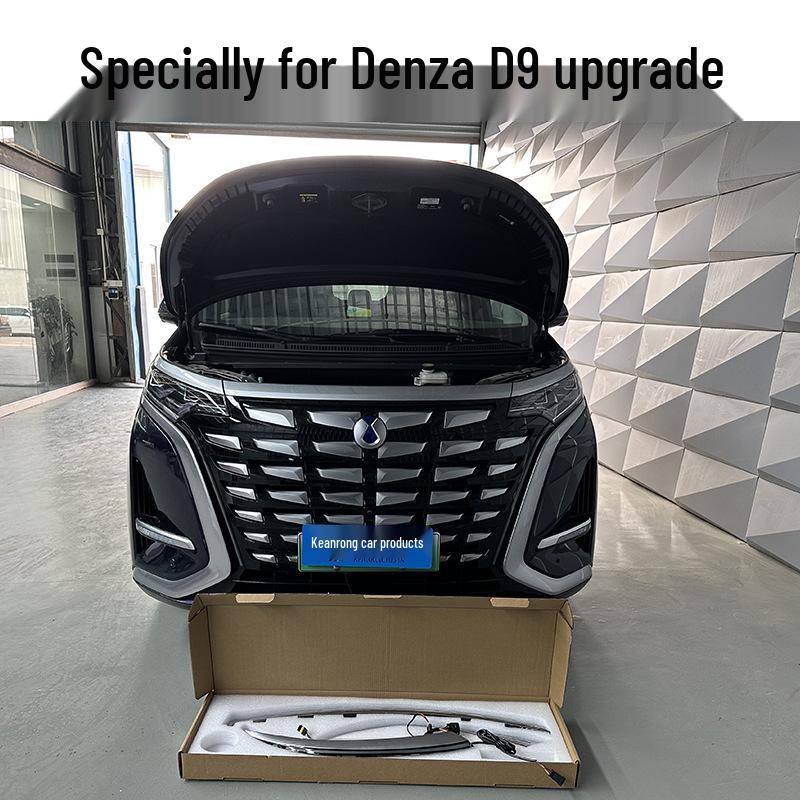 22-23 Denza D9 Whisker Light: Daytime Running & Turn Signal Light Upgrade