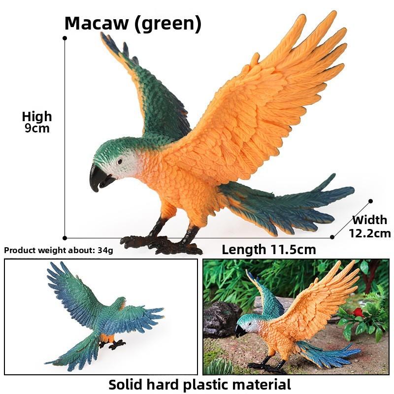 Animal Model Wildlife Solid Plastic Parrot And Hornbill Figures For Kids Gift