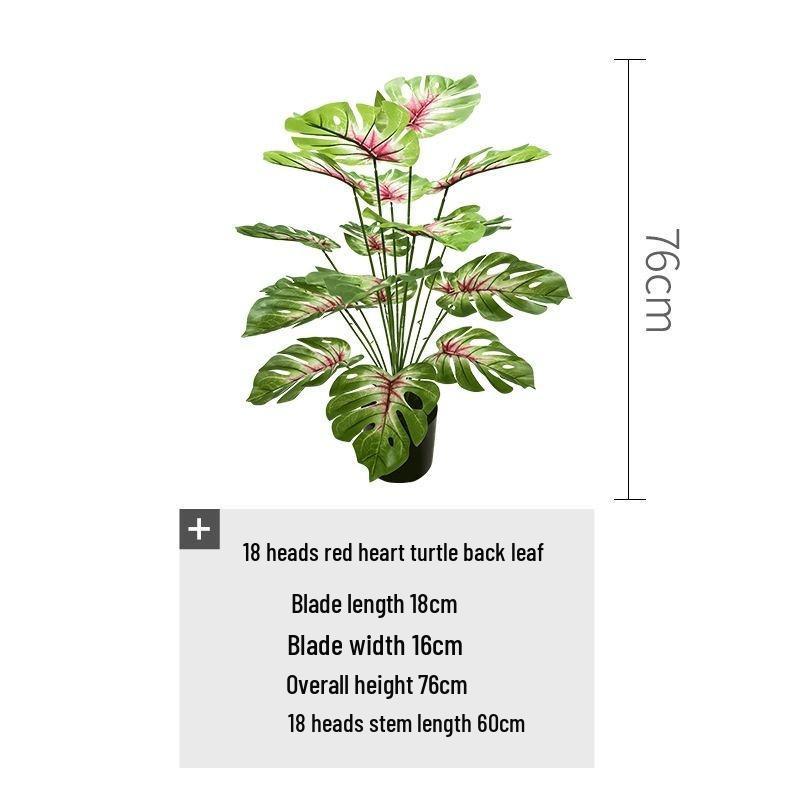Red Heart Philodendron Plant for Garden & Wedding Decor