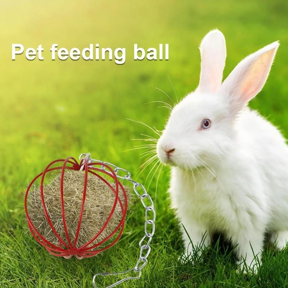 Round Rabbit Grass Feeder Wear-resistant Hanging Grass Ball Suspending Feeder Pet Feeding