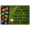 Billiards Metal Tin Signs Snooker Wall Art Posters Plaque Sign Vintage Iron Painting Decoration for Home Cafe Game Room Club Bar