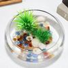 MUCKLILY Galanta Pot, Clear, Succulent Pot, Tabletop, Small Planter, 9.5cm, Indoor Decor, Clear Glass Container, Can Also Be Used As a Goldfish Bowl