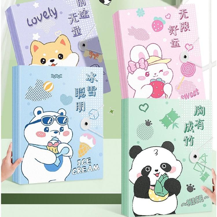 Clear Document Folders with Cartoon Design Lightweight File Storage for Students Teachers Award Certificate Organization