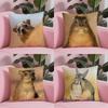 Kwaii Anime Rock Hyrax Animal Pillow Case Custom Printed Brushed Fleece Pillow, Baby Skin-Touch, Eco-Friendly Dye-Sublimation Cu