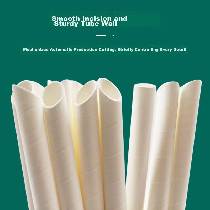 Tinghao Disposable Food-Grade Individually Wrapped Straws for Drinks And Milk Tea, Thick 12*210mm Large Pointed Tips, 100 Pieces