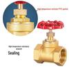 Brass Globe Valve