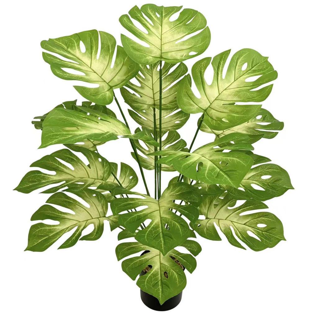 Nordic Style Variegated Monstera: Potted Plant for Home & Garden Decor