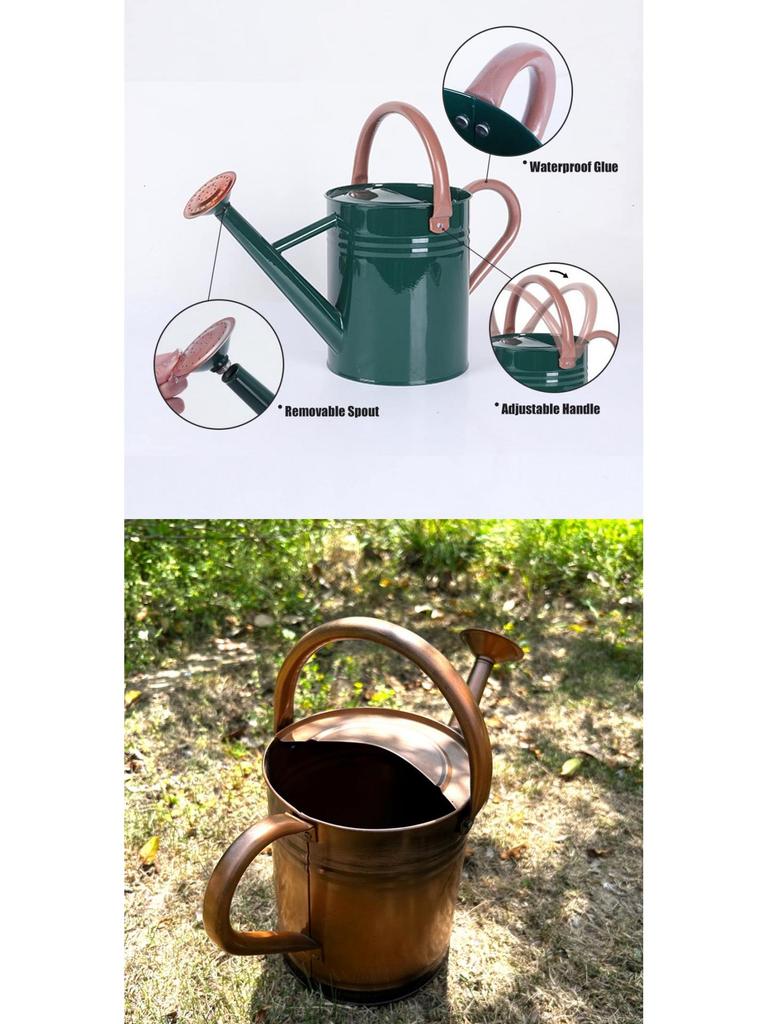 4L Premium Dual-Use Watering Can for Flowers (European & American Style)