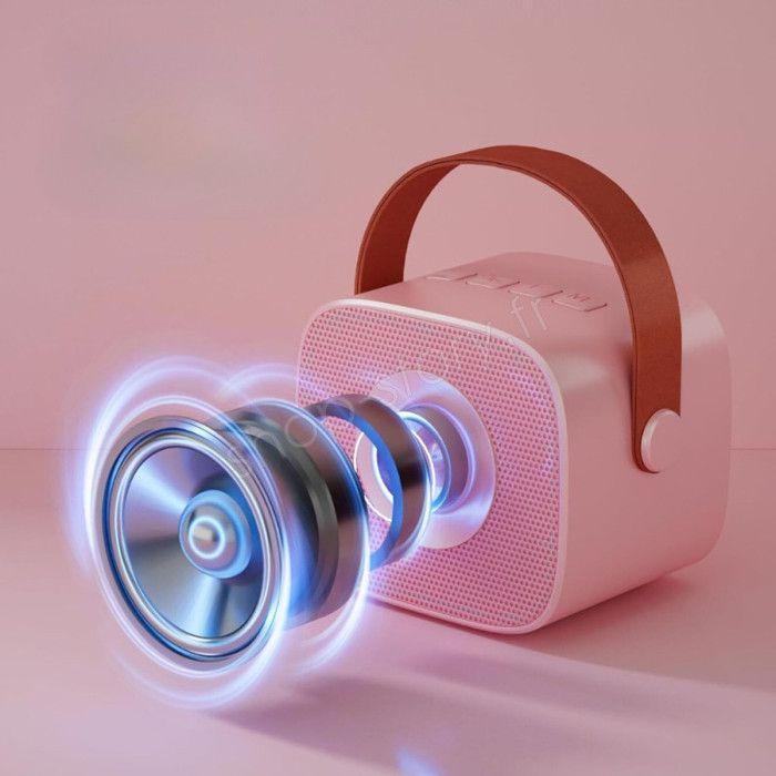 SHOP-STORY - KARAOKIT_RO: Kit de Karaoké Portable avec Enceinte LED et 2 Microphones Sans Fil Bluetooth avec Effets Sonores - Rose