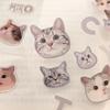 Mr. Paper Cat Head Series Cute Cartoon Stickers, 4 Types