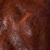 Tanologist Express Tan 1 Hour Self Tan Extra Dark Mousse 6.7 Oz