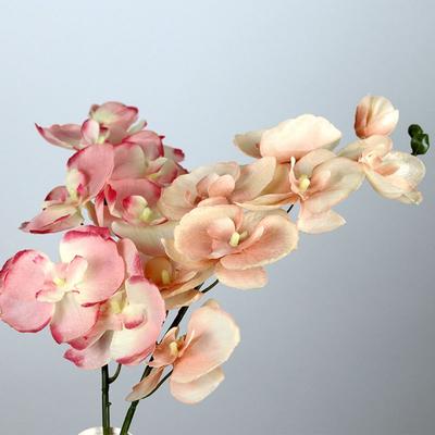 Phalaenopsis Orchid Simulated Flower 70cm Floral Bouquet New Artificial Flower  Wedding Decoration