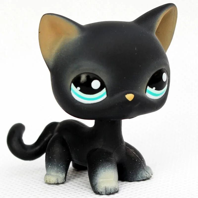 Rare Littlest Pet Shop Lps Toy Toy Mini Stands Short Hair Kitten Old Figures Collection Al Bobble Head Toy