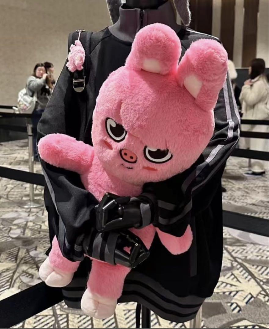 

[Б/У] Stray Kids Плюшевый мишка Фан-встреча 5 часов Stray Kids Twekki