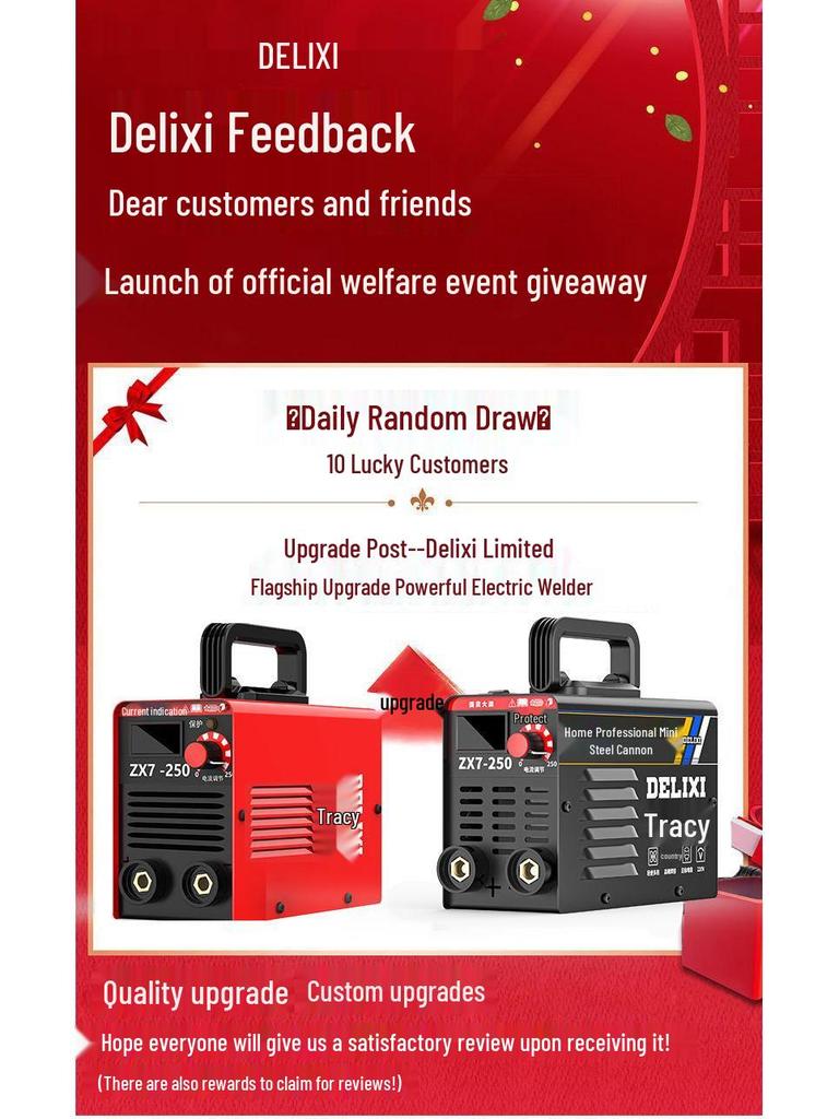 Delixi 250 Mini Electric Welder, 220V Handheld for Home Use