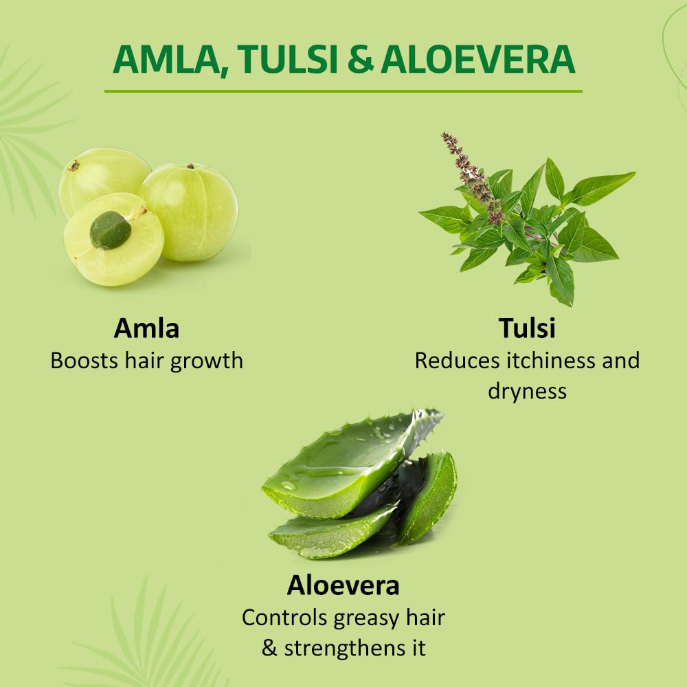Nyle Naturals Trockenheit Feuchtigkeitsshampoo Für Geschmeidiges Kämmbares Haar Mit Aloe Vera Tulsi Amla Sanft pH-Neutral Parabenfrei 180ml