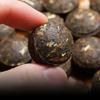 Yunnan Sticky Rice Scented Pu-erh Tuo Cha Ripe Mini Tea Cakes Loose Leaf Bulk