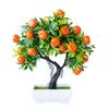 Orange Tree Diameter 22cm Green Non Toxic Brand New