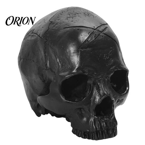 Vintage Style Skull Ornament Resin Ornament, Dark Halloween Prop, Sturdy Retro Durable Teaching Model, Matte Black Anatomy Model Prop чёрный