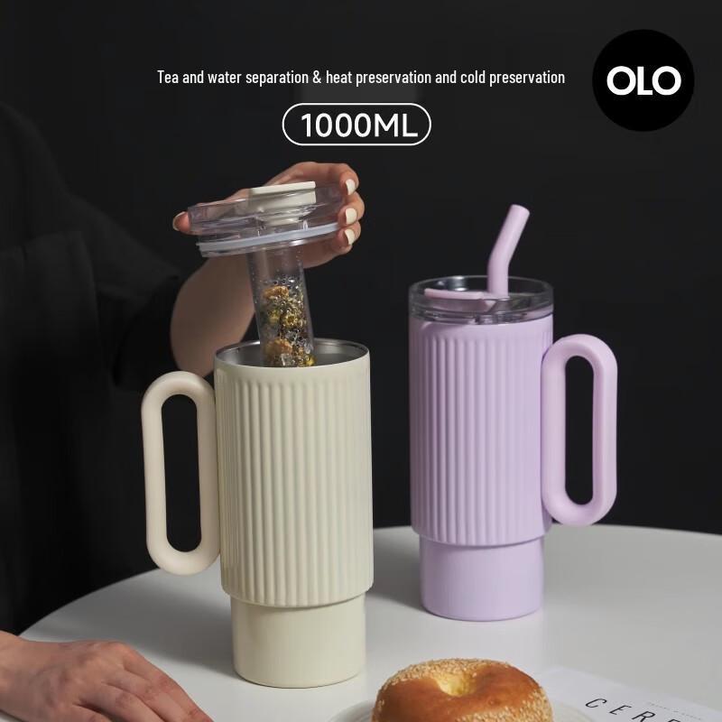 HOLOHOLO Portable Insulated Straw Water Bottle