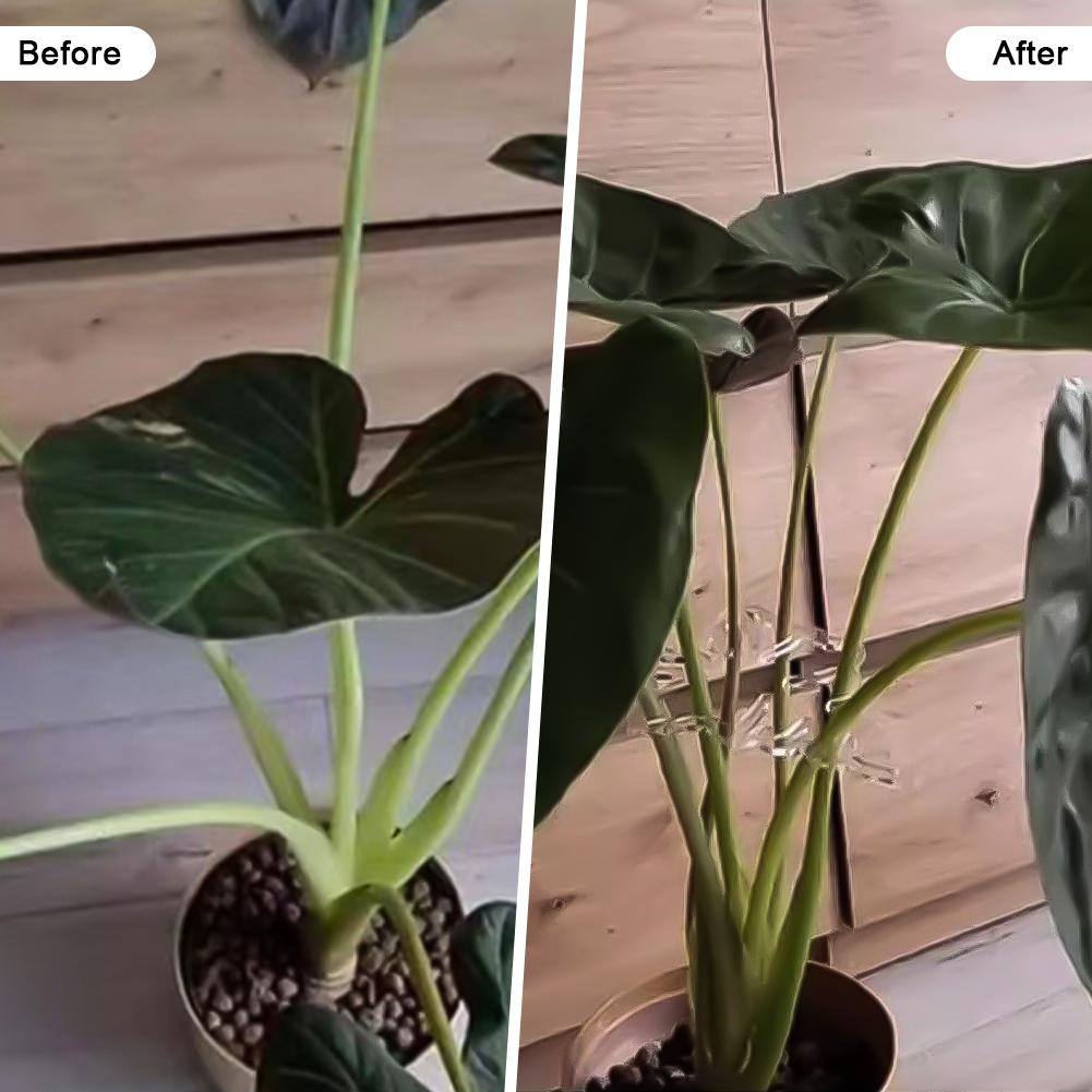 Various Shapes of Plant Racks Flower Shaped Plant Support Piles Indoor Outdoor Plant Growth Large Turtle Backed Bamboo Branches