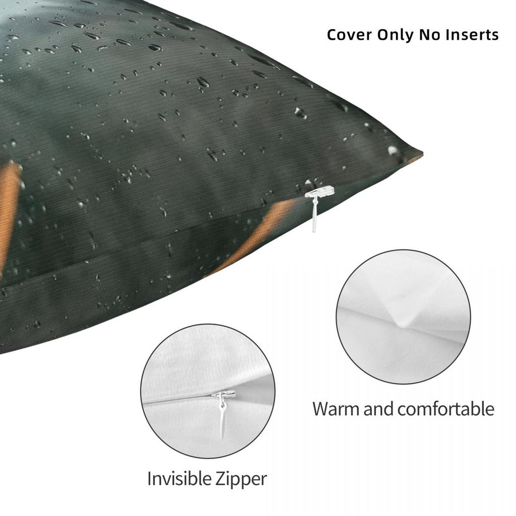 Raindrops On A Train Window Square Pillowcase Polyester Linen Velvet Creative Zip Decorative Pillow Case Home Cushion Cover