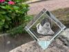 Romagna Water Dog – Crystal cube with a photo, photo of a horse in crystal | Art-Dog
